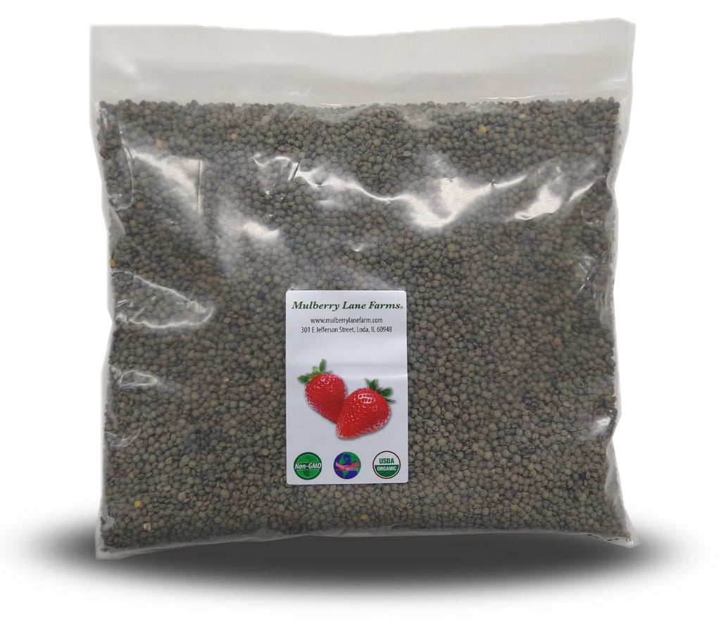 Organic French Green Lentils 10 lbs I63944