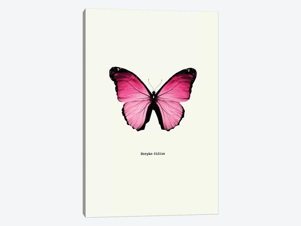 Canvas Wall Decor Prints G4904