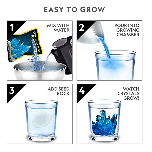 Crystal Growing Kit with Light-Up Stand V552