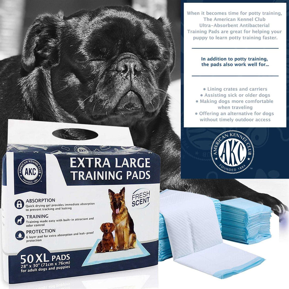 Training Pads O559