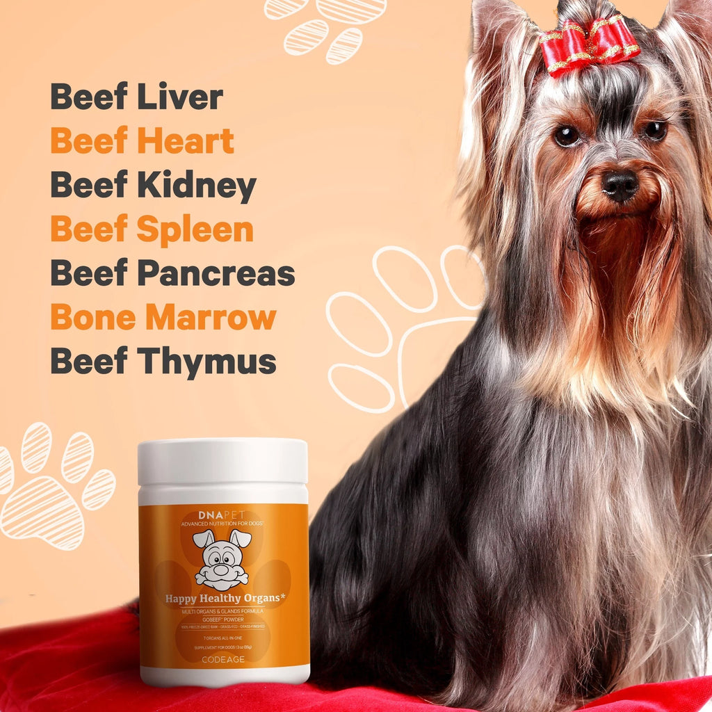 Beef Organ Supplement for Dogs 3 oz V35012