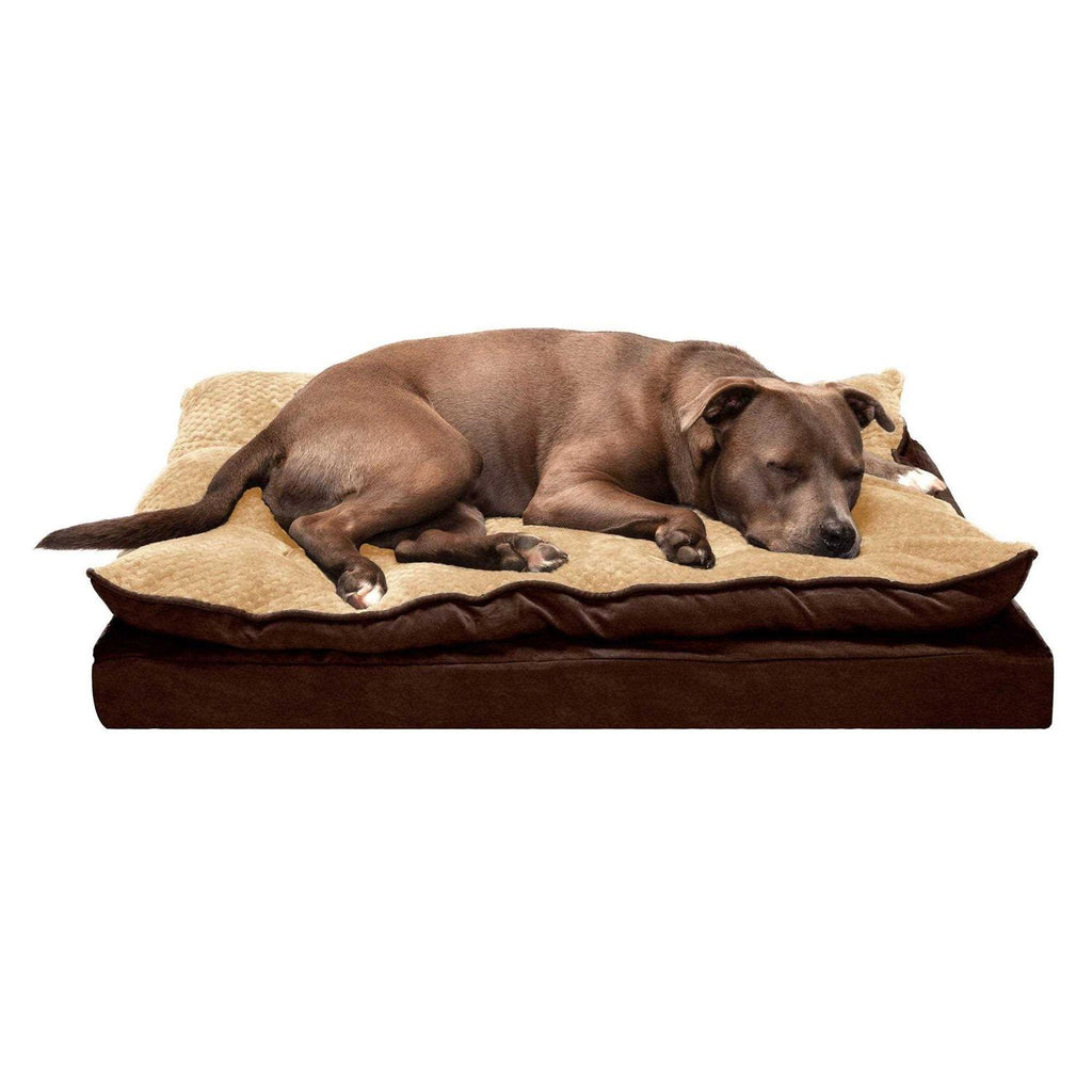 Mink Fur & Suede Pillow-Top Orthopedic Dog Bed Y44860