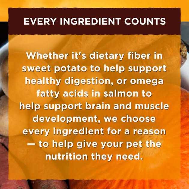 Wet Dog Food X19347