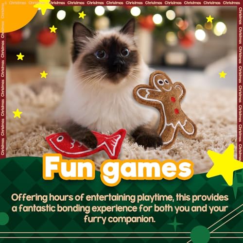Catnip Crinkle Sound Cat Toys 2-Pack N191