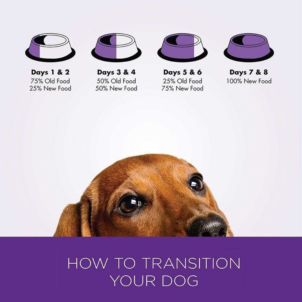 Small Breed Dog Food B92707