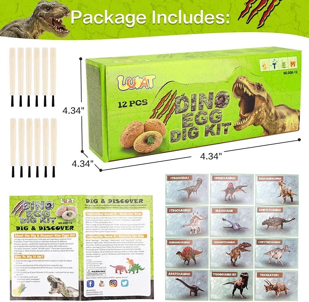 12 PCS Dinosaur Excavation Toys with Dinosaur Eggs W965463