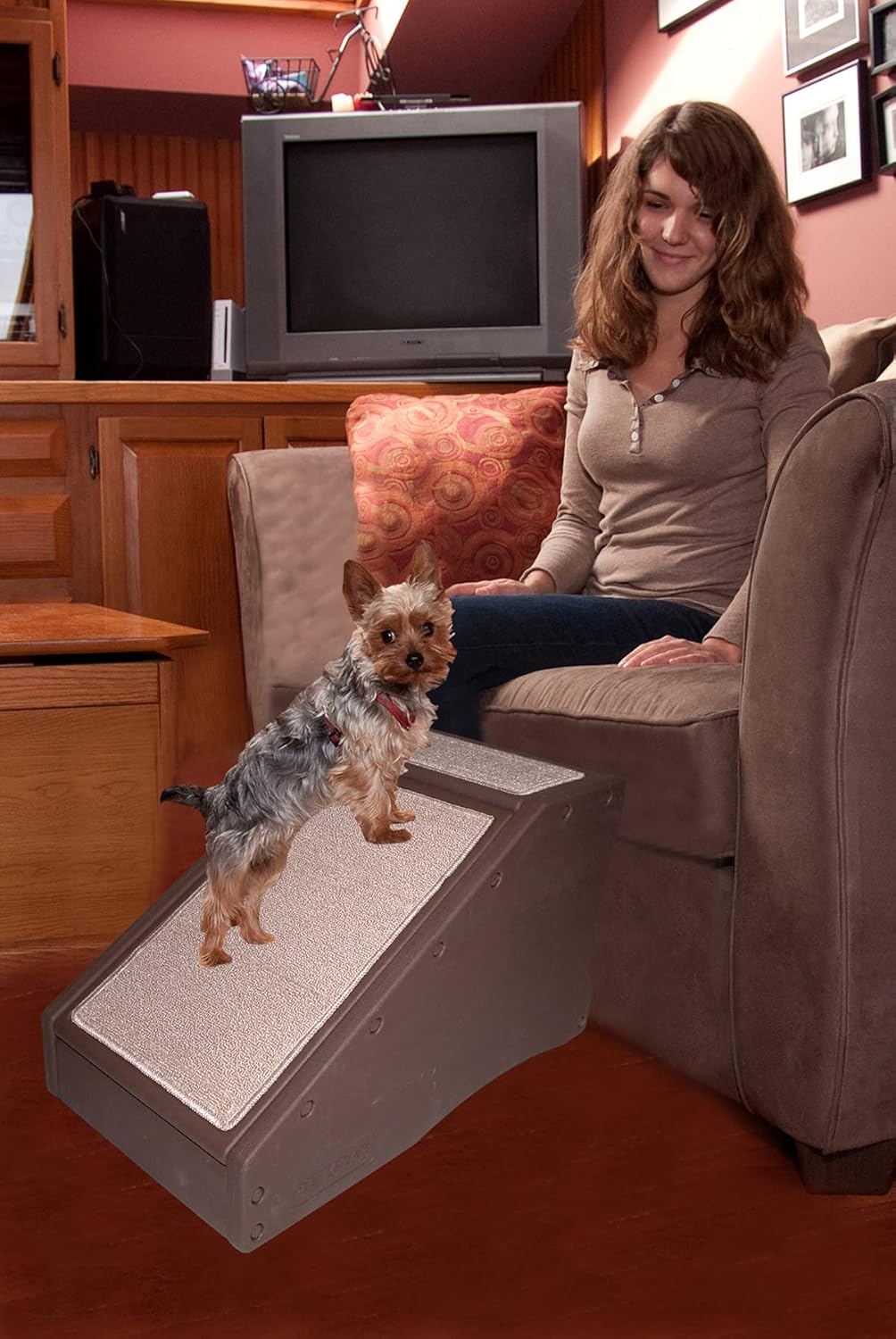 Stair and Ramp Combination for Dogs/Cats, Lightweight, Pack of 2 R220