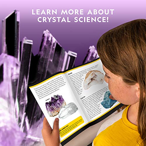 Crystal Growing Kit with Light-Up Stand V552
