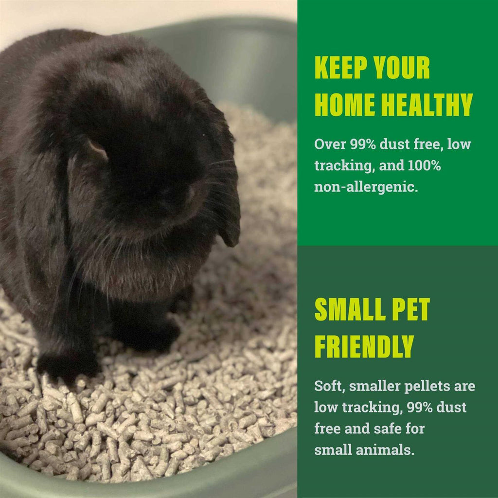 Small Animal Litter G670