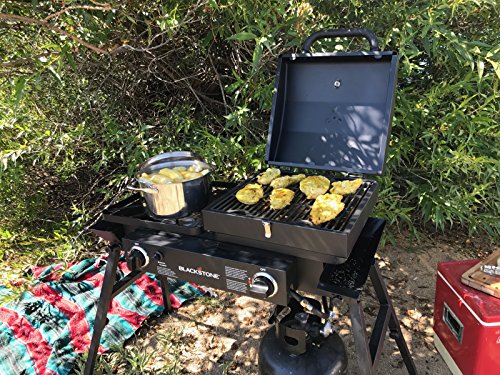 Stainless Steel 2 Burner Portable Gas Grill and Griddle Combo Z363
