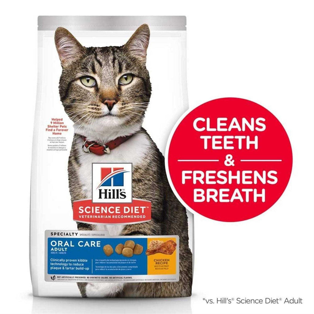 Adult Dry Cat Food X829634