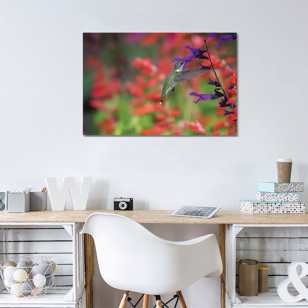 Canvas Prints A8287