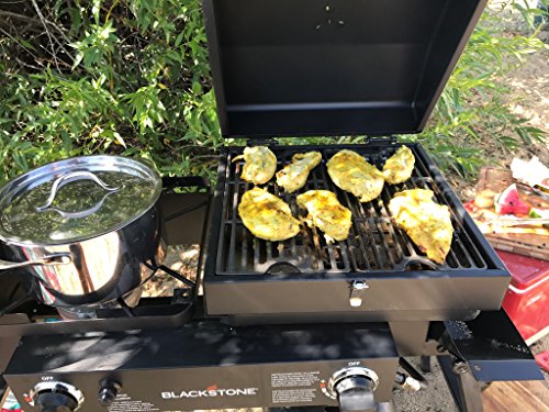 Stainless Steel 2 Burner Portable Gas Grill and Griddle Combo Z363