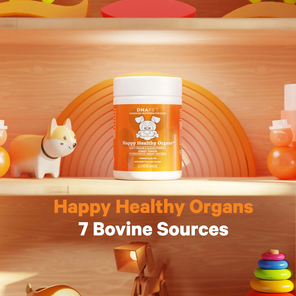 Beef Organ Supplement for Dogs 3 oz V35012