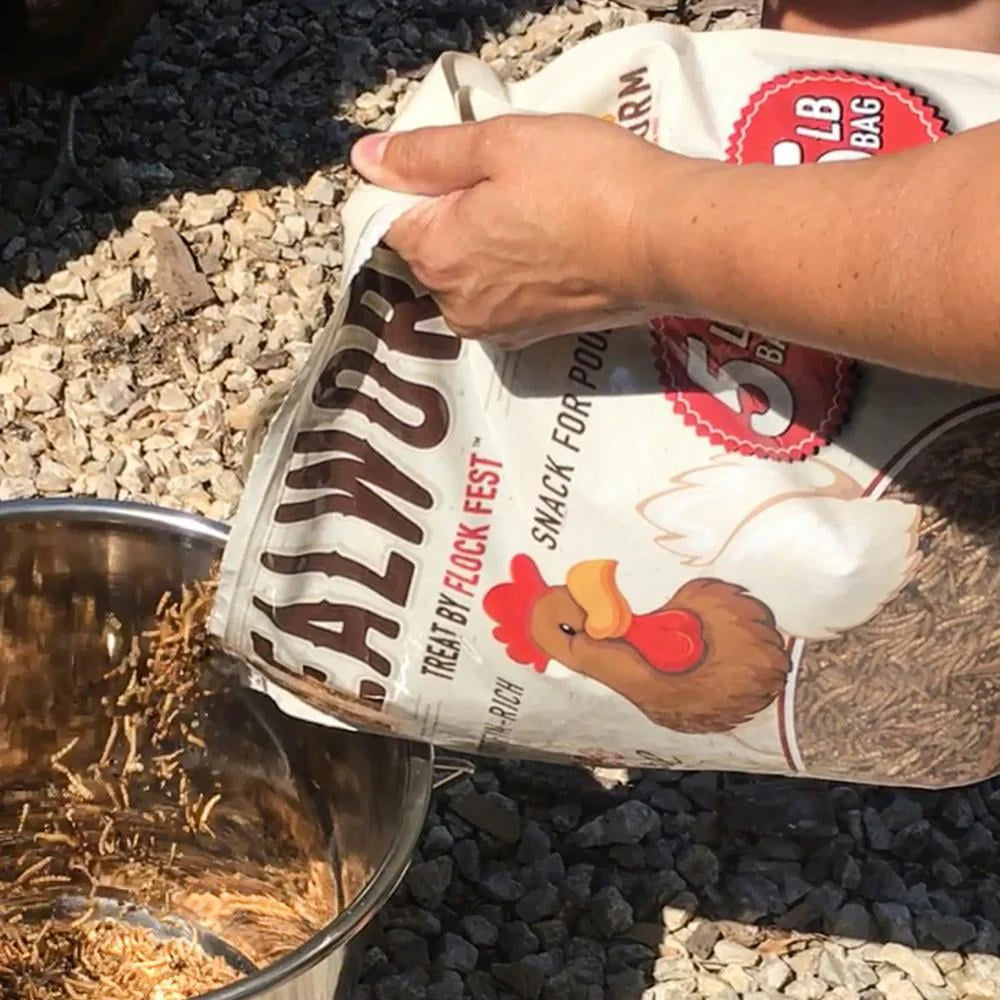 Dried Mealworms 5 lbs. Bag P80495