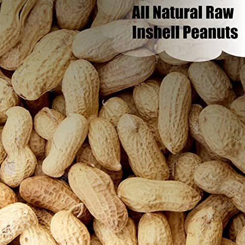 Wildlife Shelled Peanuts, 10 lbs N67009
