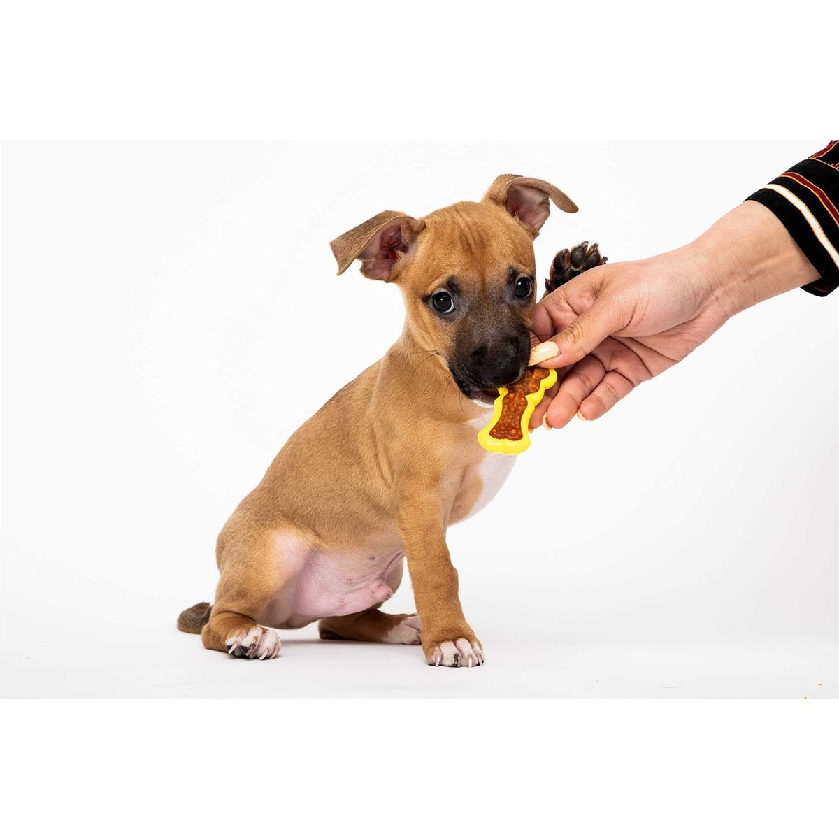 Chew 'n Clean Dental Duo Dog Chew Toy Treat D142