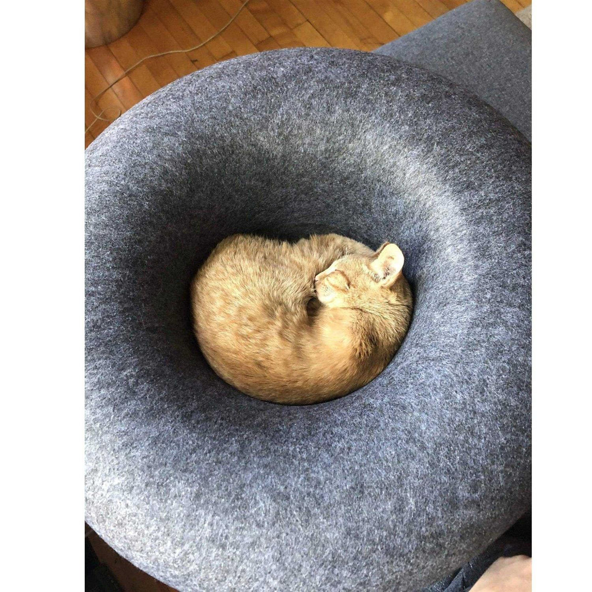 Cat Hideaway Cave F9444