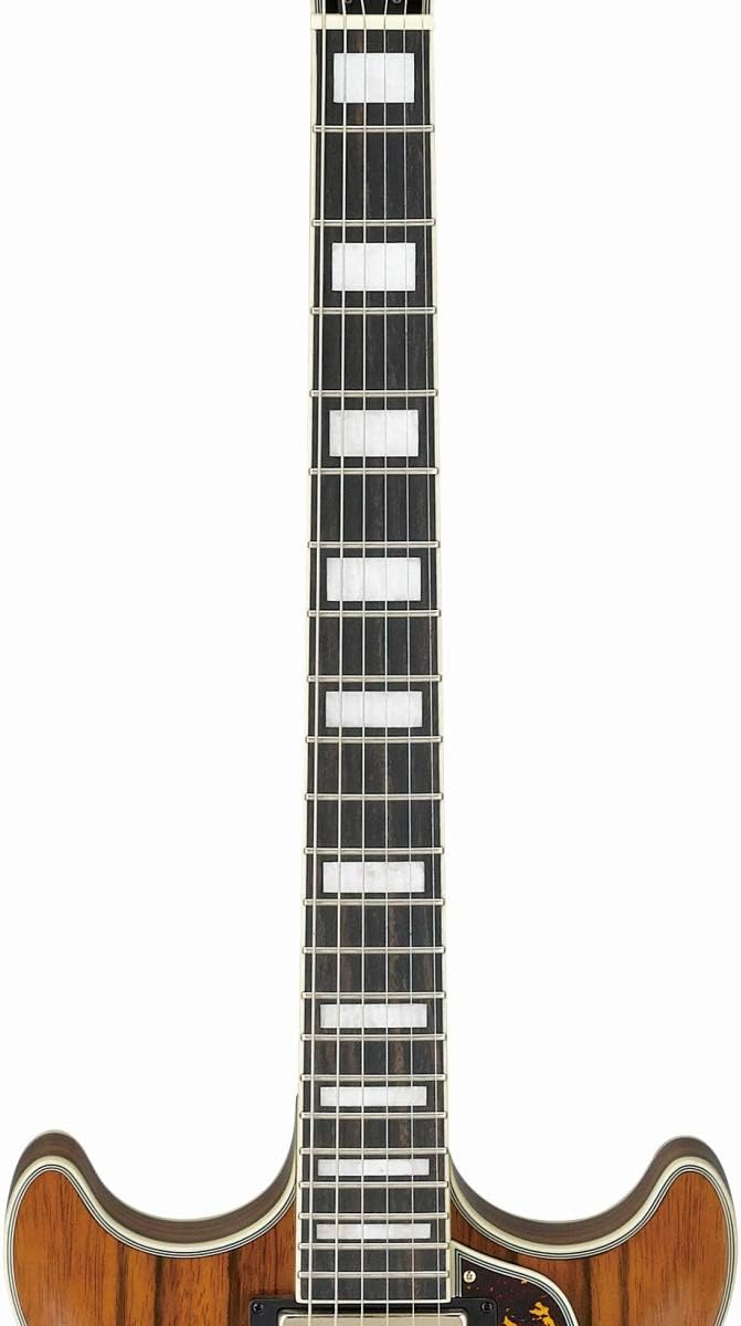 Macassar Ebony Semi-Hollow Body Electric Guitar M7709