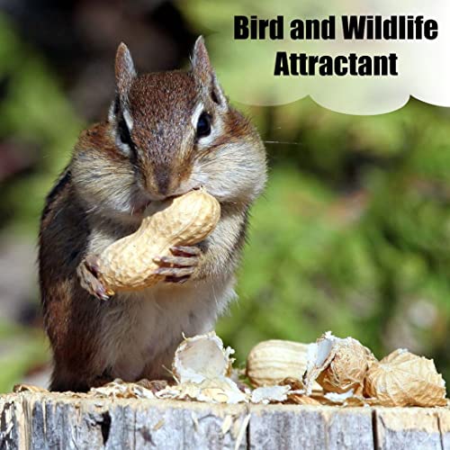 Wildlife Shelled Peanuts, 10 lbs N67009