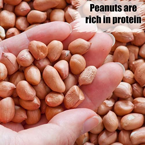 Wildlife Shelled Peanuts, 10 lbs N67009