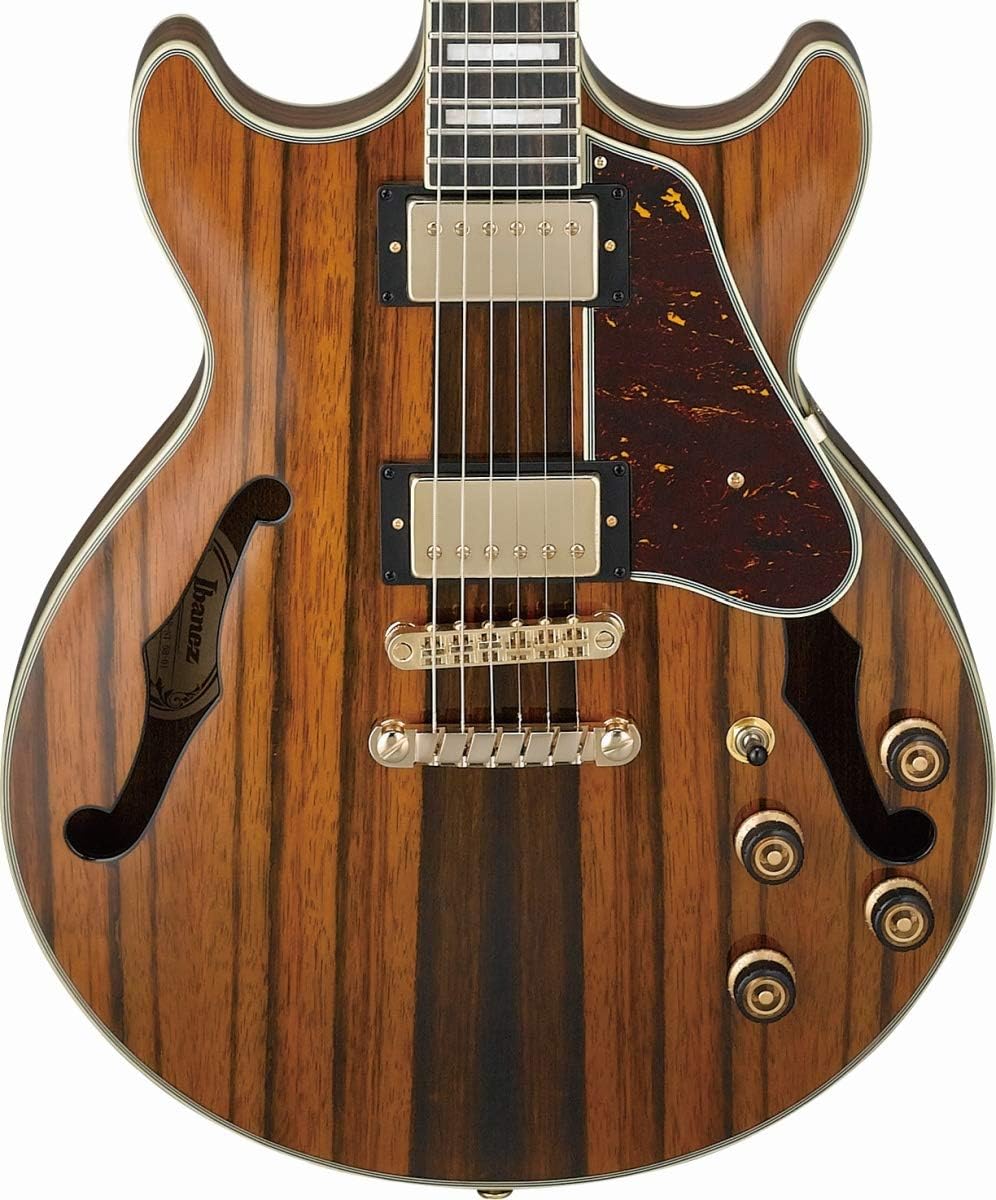 Macassar Ebony Semi-Hollow Body Electric Guitar M7709