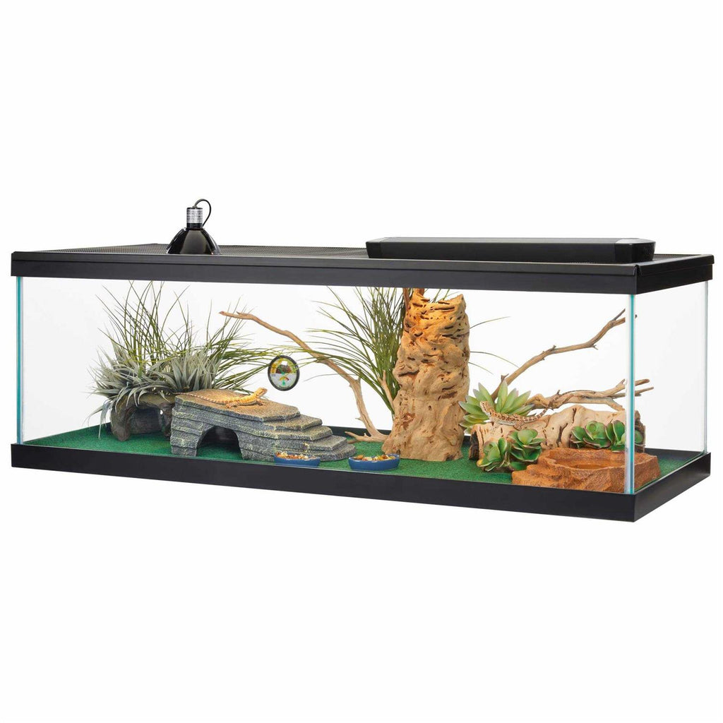 Standard Glass Rectangle Aquarium S940729