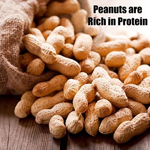 Wildlife Shelled Peanuts, 10 lbs N67009