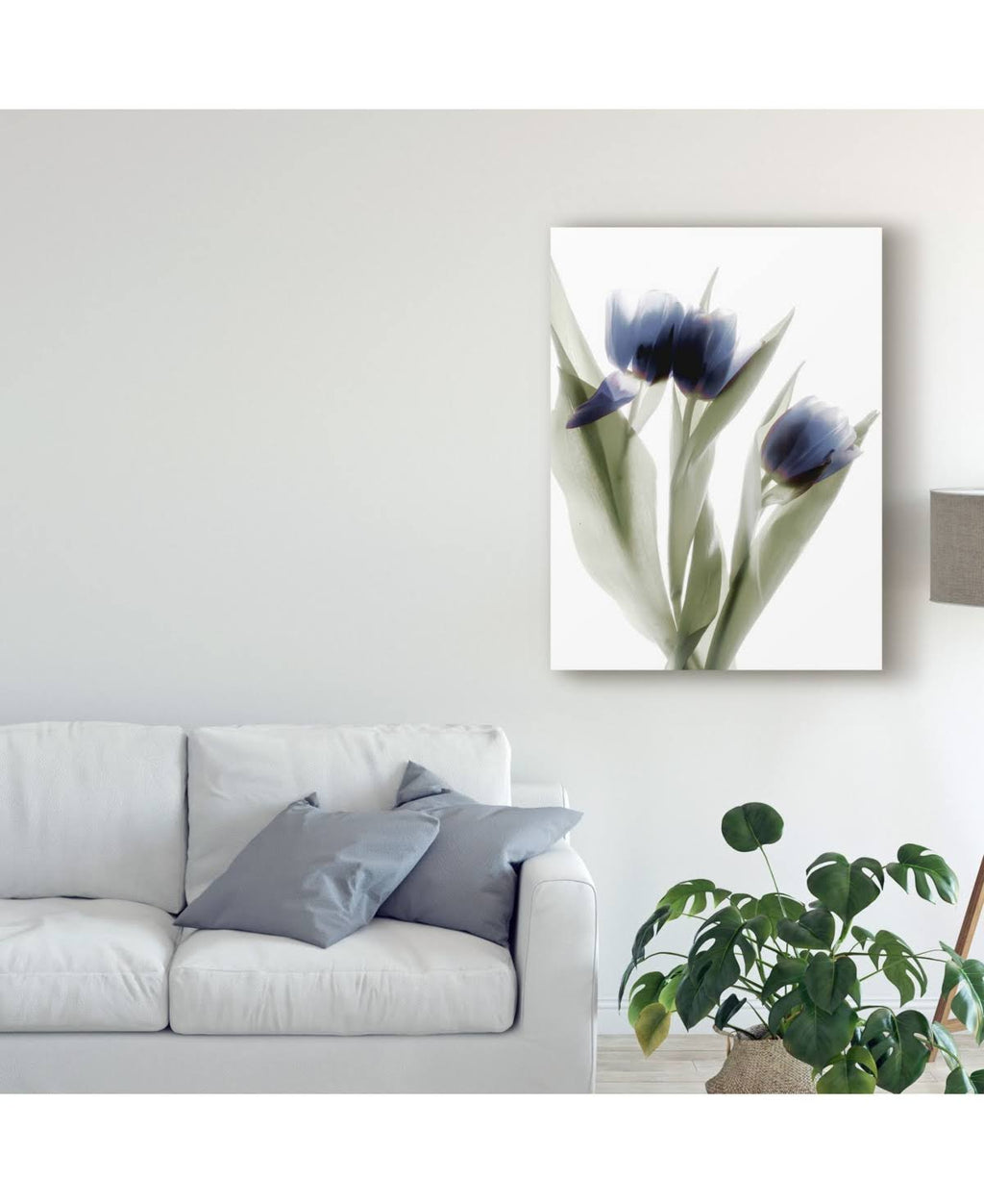 Canvas C482