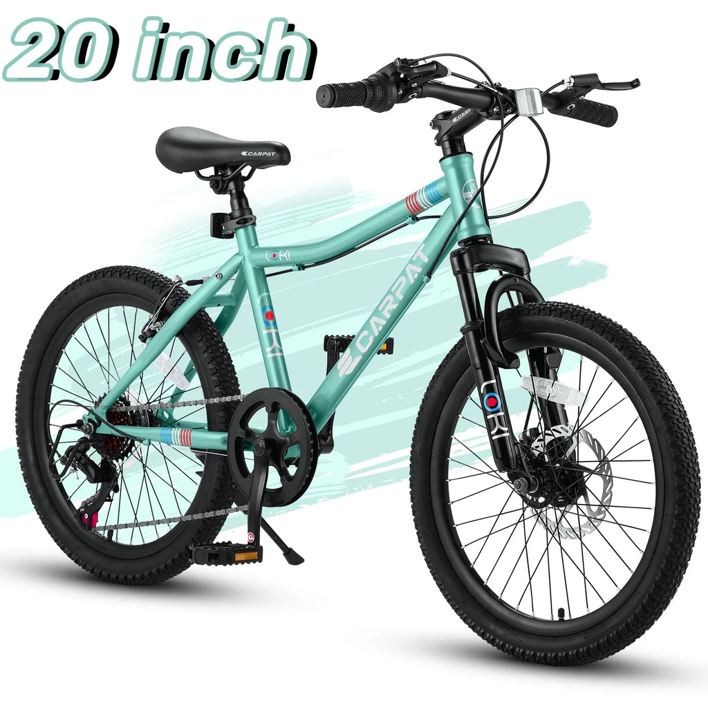 20 inch 7 Speed Kids Mountain Bike M46943