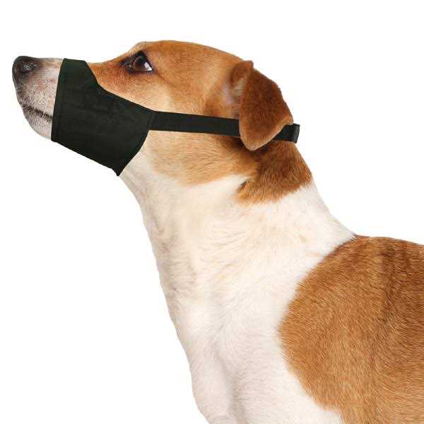 Muzzle Q54230