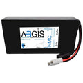 24v 40ah Li-Ion Deep Cycle Lithium Battery G495689
