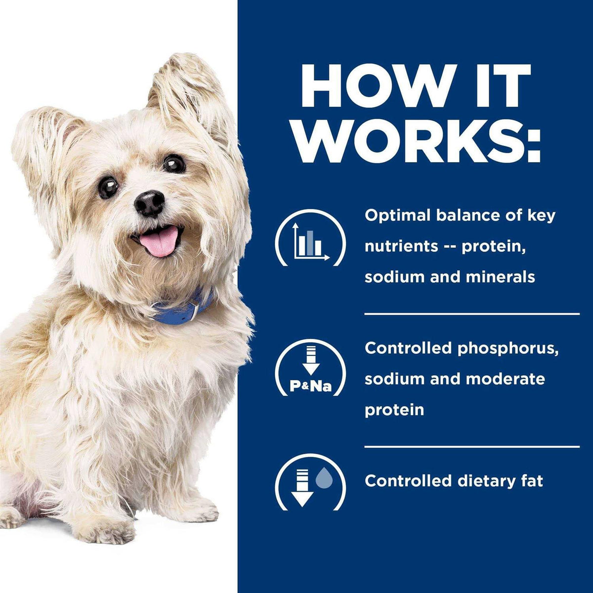 Chicken Flavor Dry Dog Food L997849