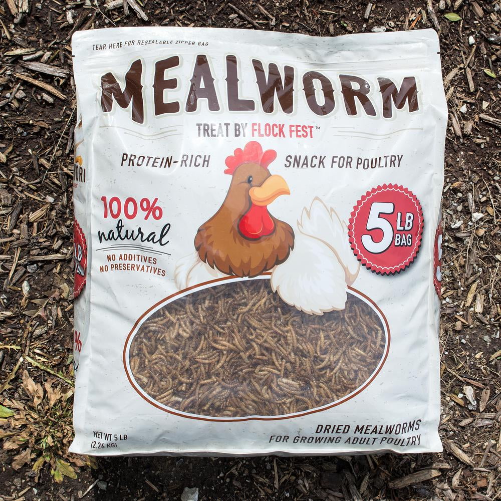 Dried Mealworms 5 lbs. Bag P80495