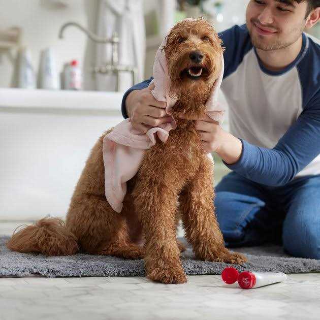 Oatmeal Dog Conditioner 6 oz Sulfate & Paraben Free F37911