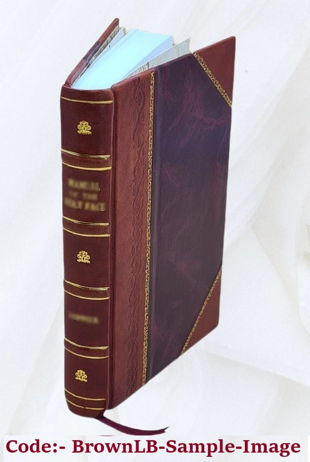 Snake River study Interim Report No 1 Leather Bound D6212