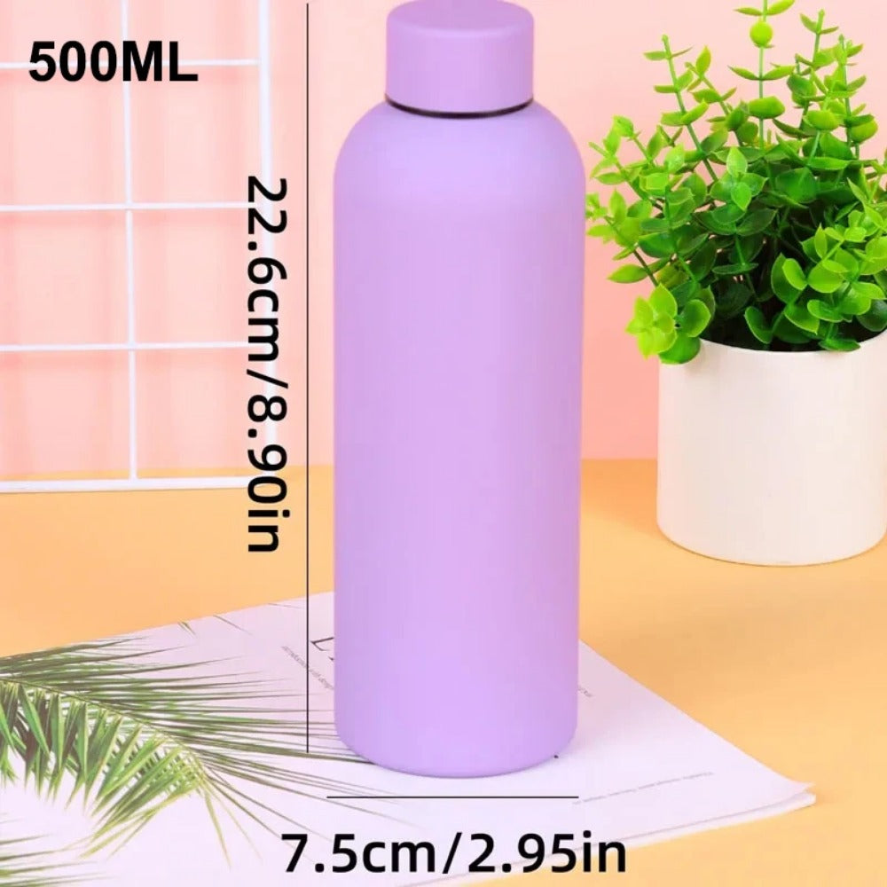 17.6 oz Stainless Steel Insulated Thermos Bottle M741