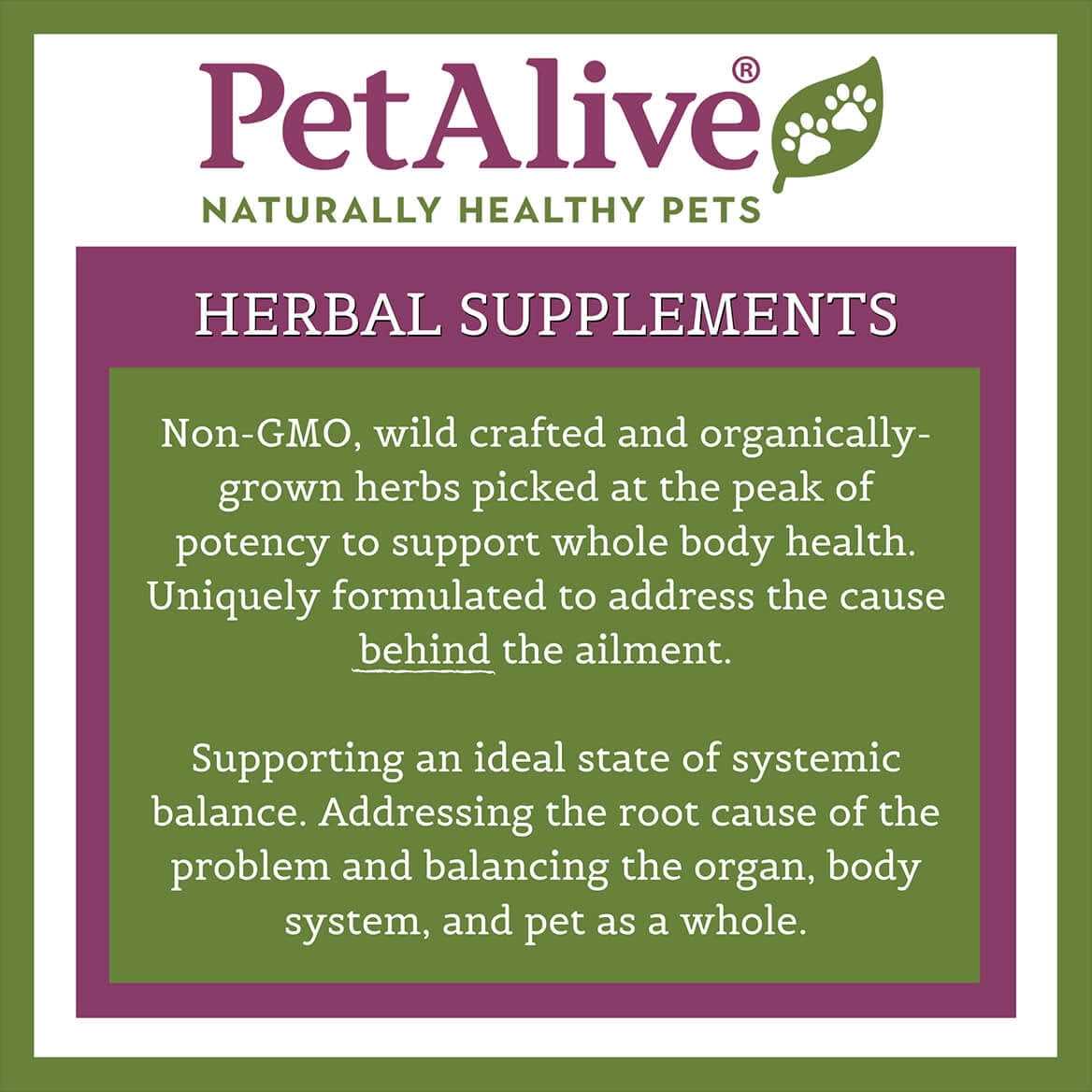 Prostate Health Dog Supplement R11974