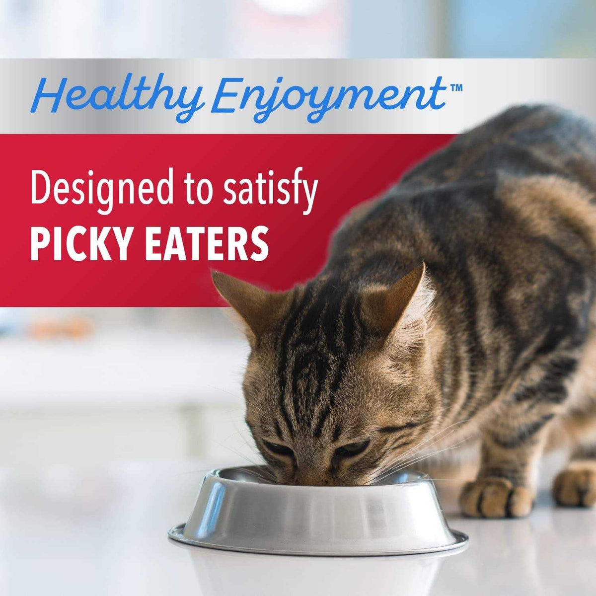 Chicken & Beef Dry Cat Food O37336