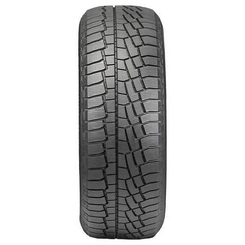 Winter 205/60R16 92H Passenger Tire T333
