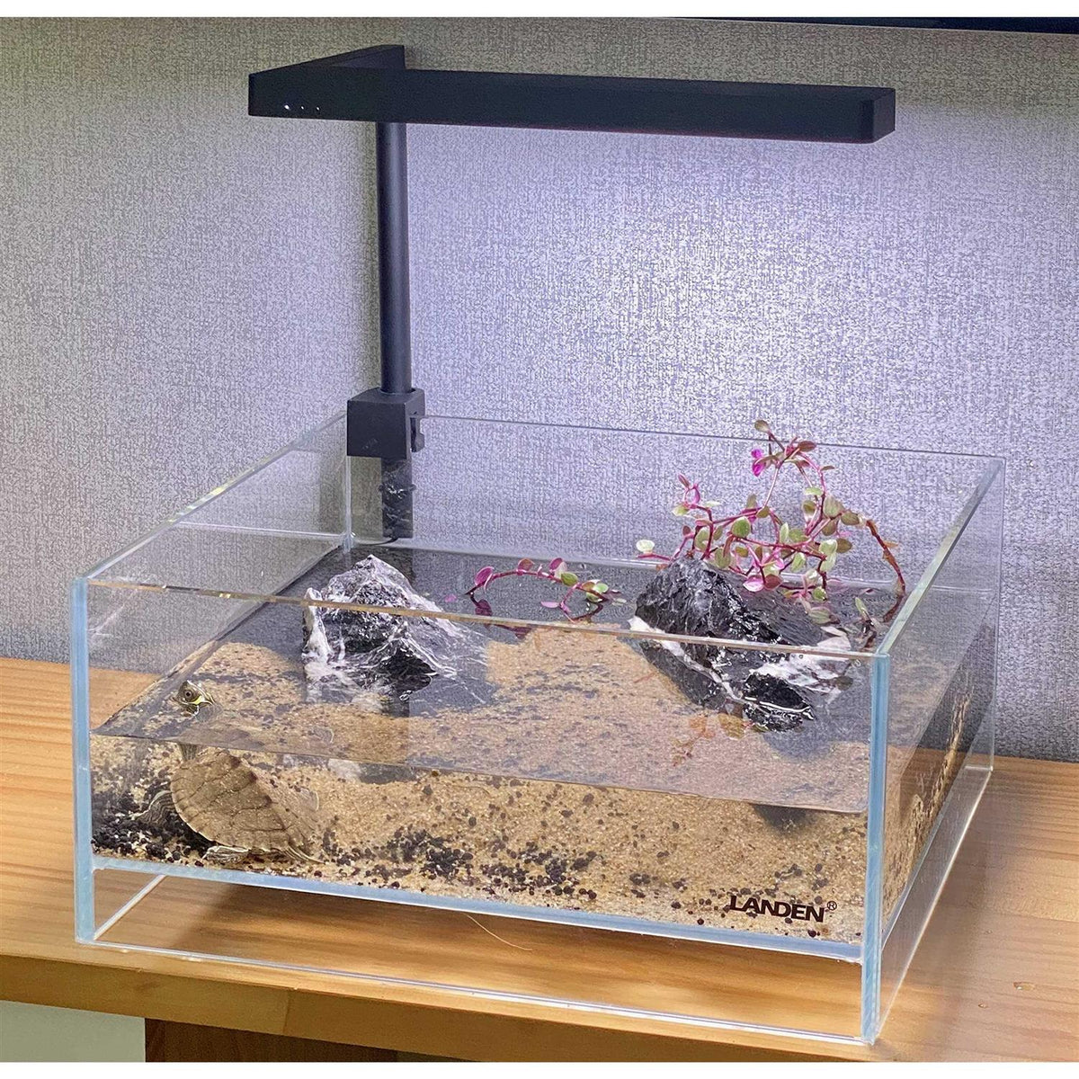 1.6 Gallon Rimless Low Iron Glass Aquarium Tank I745