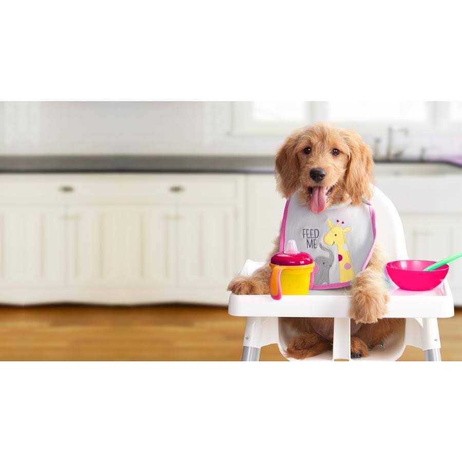 Dry Dog Food M5368