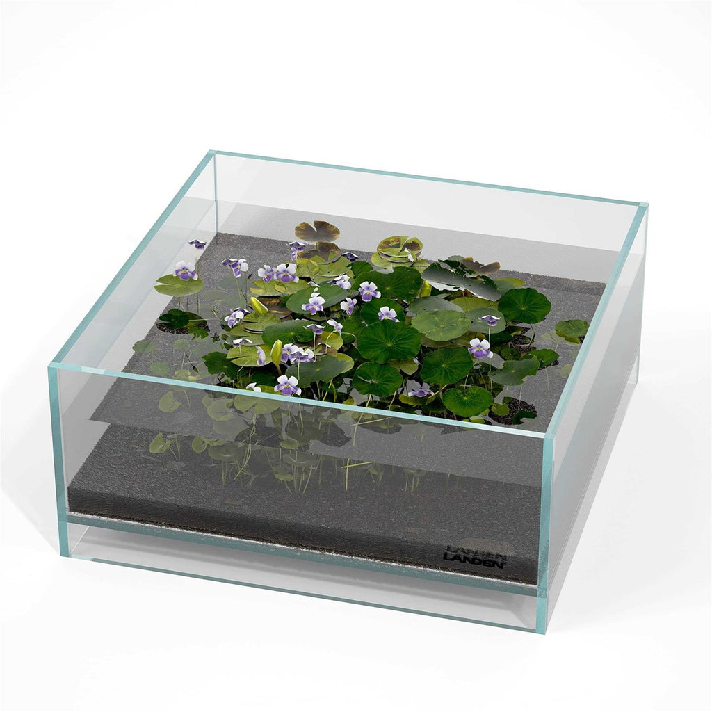 1.6 Gallon Rimless Low Iron Glass Aquarium Tank I745