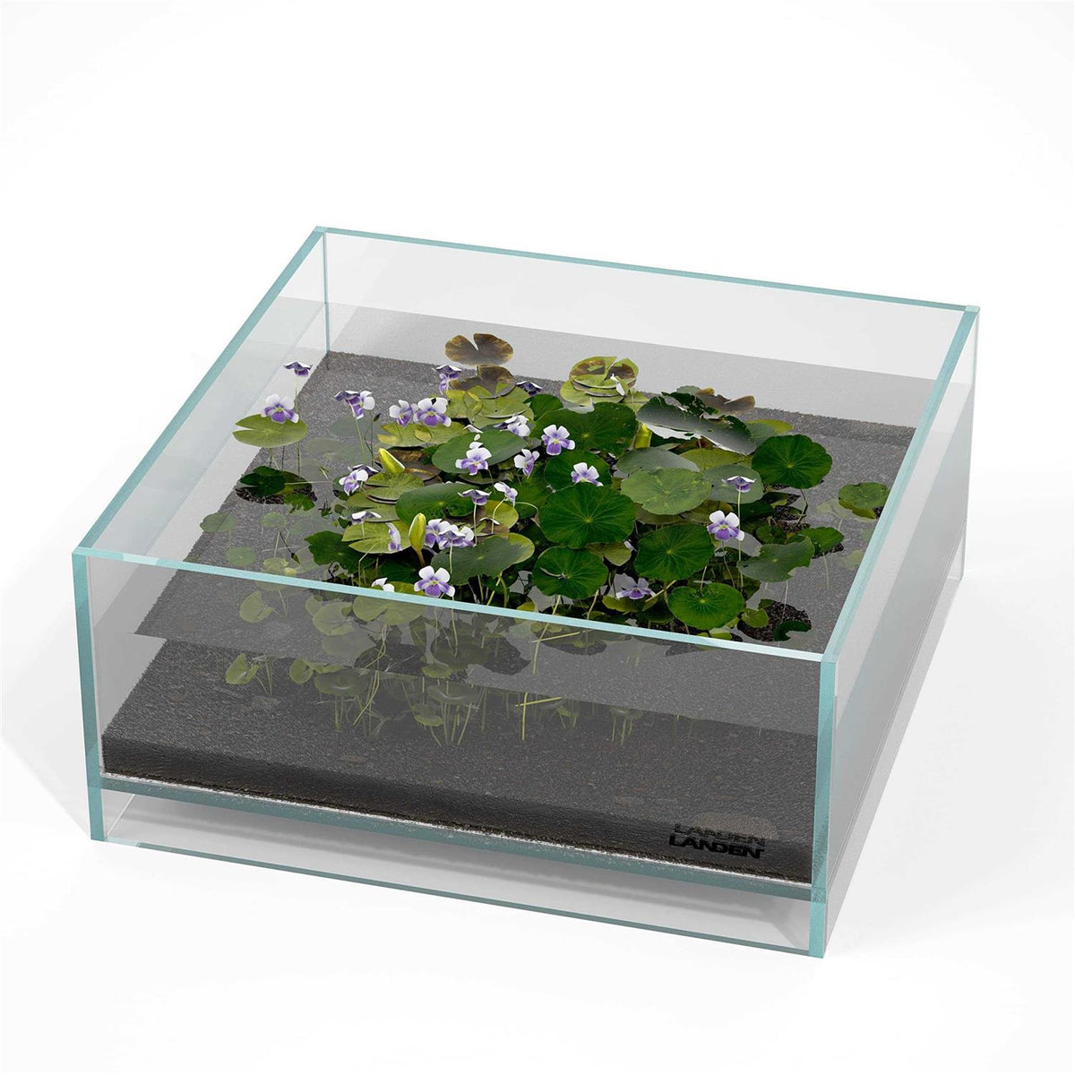 1.6 Gallon Rimless Low Iron Glass Aquarium Tank I745