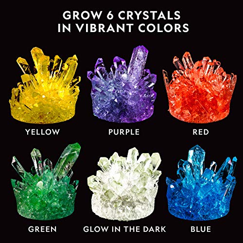 Crystal Growing Kit with Light-Up Stand V552