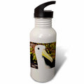21 oz Sports Water Bottle L9875