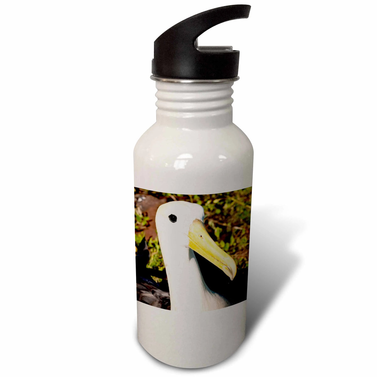 21 oz Sports Water Bottle L9875