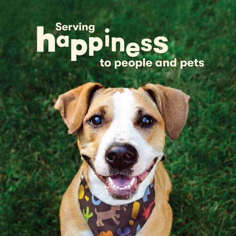 Chicken Hide Dog Treats T810