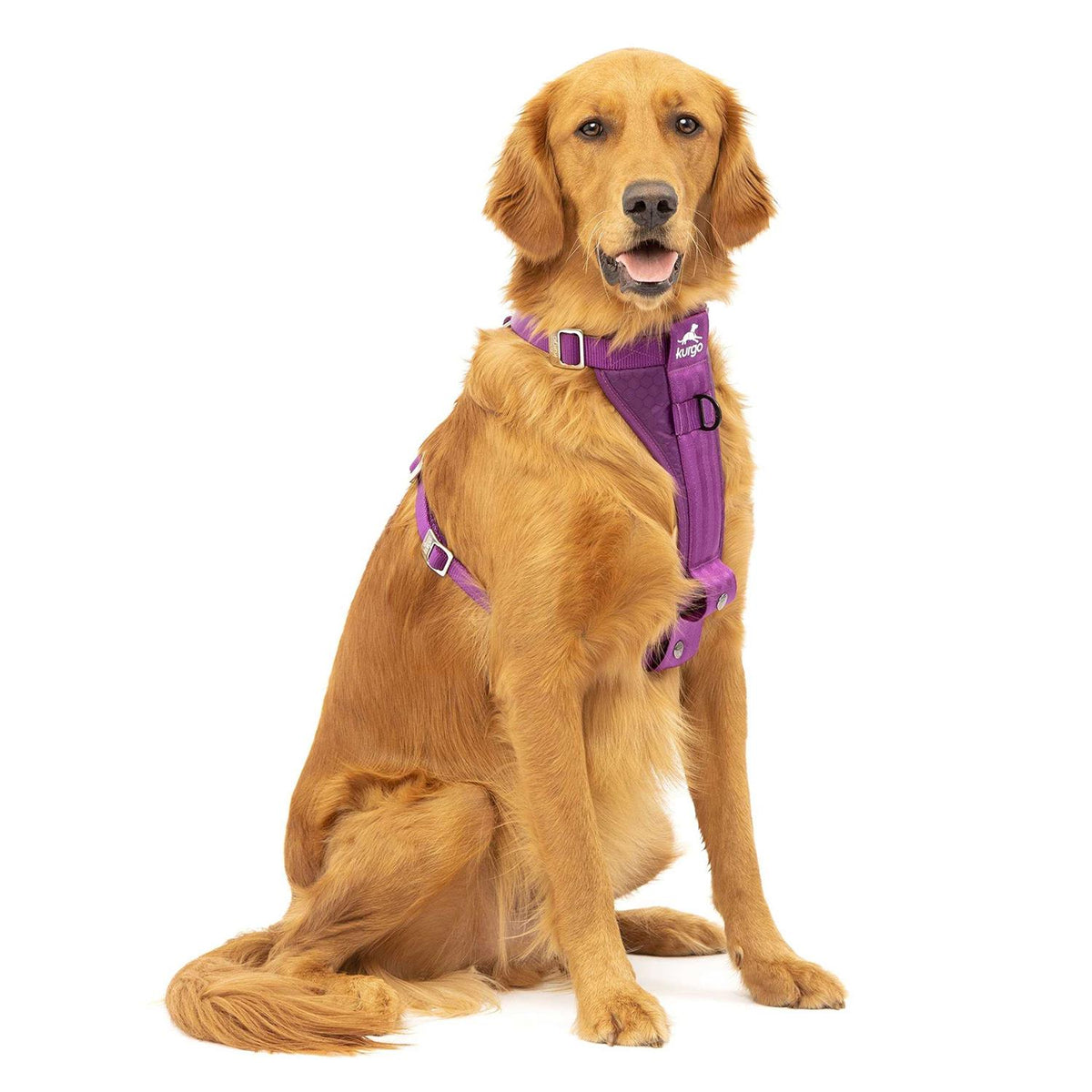 Dog Harness O5812