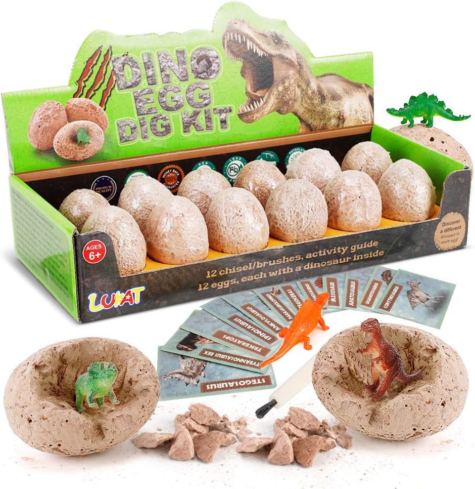 12 PCS Dinosaur Excavation Toys with Dinosaur Eggs W965463